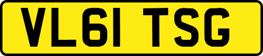 VL61TSG