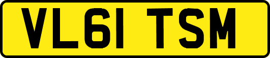 VL61TSM