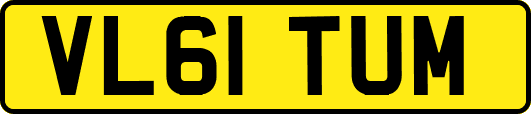 VL61TUM