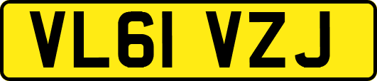 VL61VZJ