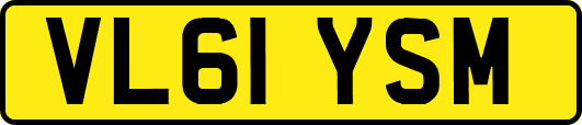 VL61YSM