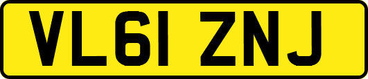 VL61ZNJ