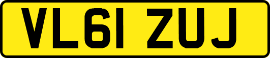 VL61ZUJ