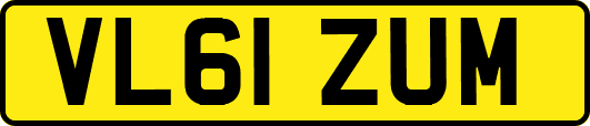 VL61ZUM