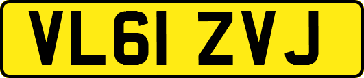 VL61ZVJ