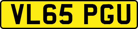 VL65PGU