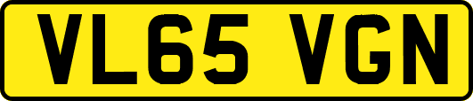 VL65VGN