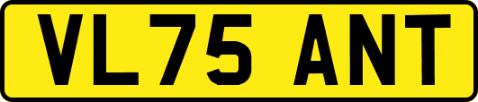 VL75ANT