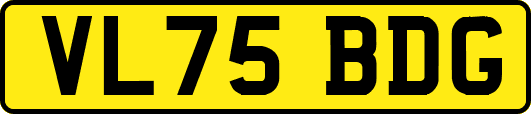 VL75BDG
