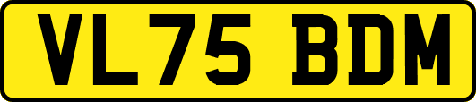 VL75BDM