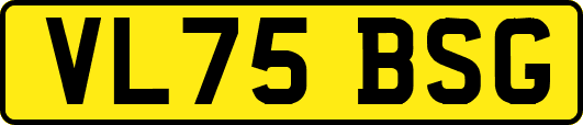 VL75BSG