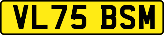 VL75BSM