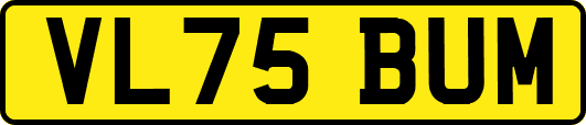 VL75BUM