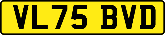 VL75BVD