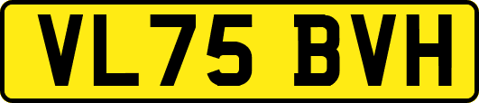 VL75BVH