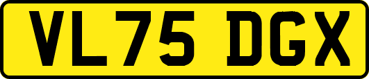 VL75DGX