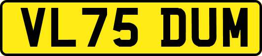 VL75DUM