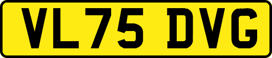 VL75DVG