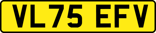 VL75EFV