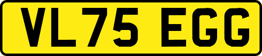 VL75EGG