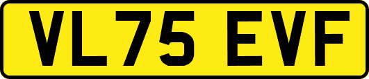 VL75EVF
