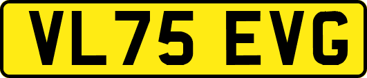 VL75EVG