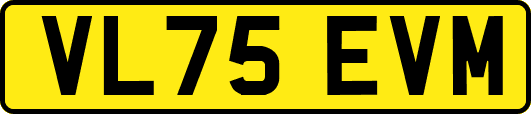 VL75EVM