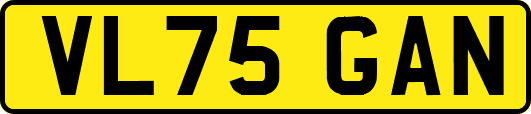 VL75GAN
