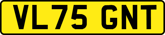 VL75GNT