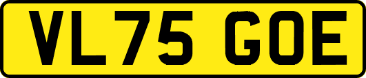 VL75GOE