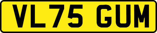 VL75GUM