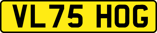 VL75HOG
