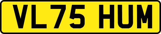 VL75HUM