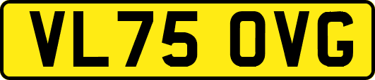 VL75OVG