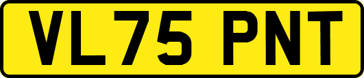 VL75PNT