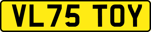 VL75TOY