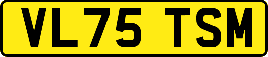 VL75TSM
