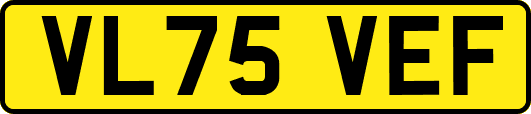 VL75VEF