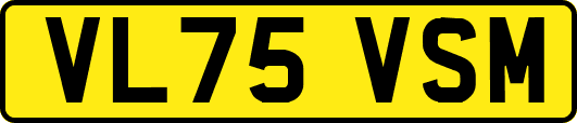 VL75VSM