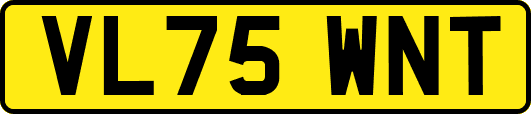 VL75WNT