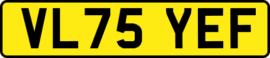 VL75YEF