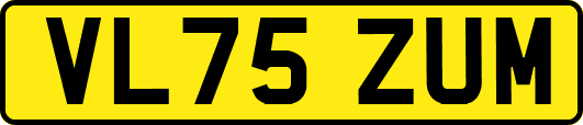 VL75ZUM