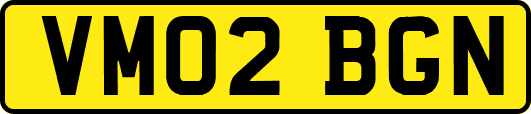 VM02BGN