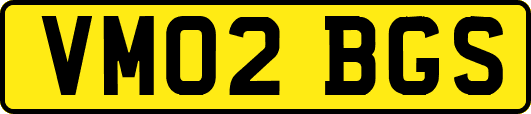 VM02BGS