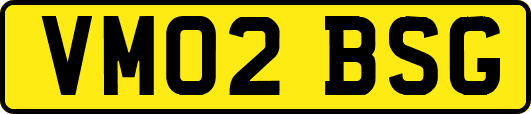 VM02BSG