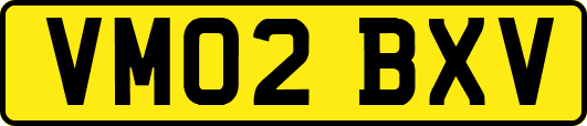 VM02BXV