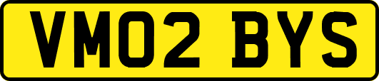 VM02BYS