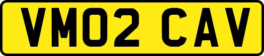 VM02CAV