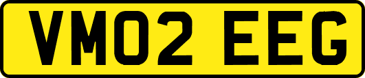 VM02EEG