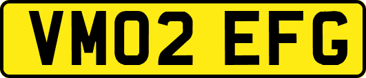 VM02EFG
